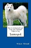 How to Understand and Train your Samoyed Puppy and Dog