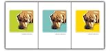 Paper Russells PAGBC487 Grrreen Boxed 6 Note Cards - Yellow Lab Laying down