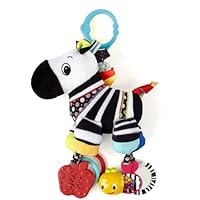 Bright Starts Start Your Senses Sensory Plush Pals, Zebra