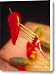 Chile Pepper Canvas Print / Canvas Art - Artist Vance Fox