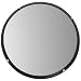 See All PLX12 Circular Acrylic Indoor Convex Security Mirror, 12" Diameter (Pack of 1)