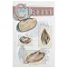 Frey Scientific 597006 Mini-Guide to Clam Dissection