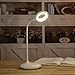 Eye Care 1200mAh Rechargeable Led Desk Lamp, FineWish Warm & Cold White Light Transfer, Unlimited Level Touch Sensor, Adjustable Gooseneck for Home, PC, Reading, Studying, Working (2W, Stand Design)
