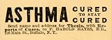 41Fc7dtUGTL. SL160  1890 Ad P. Harold Hayes Asthma Cure 716 Main St Buffalo   Original Print Ad