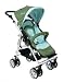 Bumbleride Flyer Stroller - Seagrass