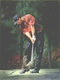Tiger Woods - Red Shirt Sunday 16x20 Open Edition Canvas Giclee