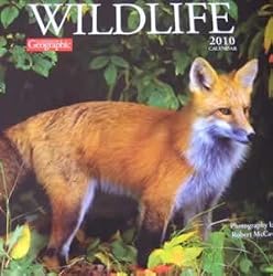Wildlife 2010 Wall Calendar