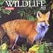 Wildlife 2010 Wall Calendar