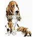 Basset Hound Desk Set