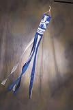 Kentucky Wildcats Wind Sock - NCAA