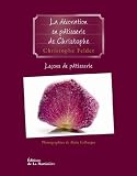 Livres Recette de P�tisserie - Le�ons de p�tisserie : Tome 5, La d�coration en p�tisserie de Christophe
