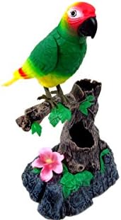 Talking Parrot