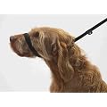 Figure of 8 Dog Lead - PROBABLY THE BEST DOG LEAD IN THE WORLD - a Fixed Collar & Lead, Slip Lead & Halter all in one lead. Black