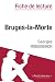 Bruges-la-Morte de Georges Rodenbach (Fiche de lecture) (French Edition)