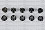 Origin8 Single Bicycle Chainring Bolts - Black Steel Set of 5