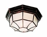 Trans Globe Lighting 40582 BC 5-Inch 1-Light Large Outdoor Flush Mount, Black Copper