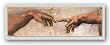 The Creation of Adam (Detail) by Michelangelo Buonarotti 36.6875"x11.125" Art Print Poster
