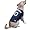 NFL Dallas Cowboys Navy Blue Mesh Pet Football Jersey (Medium)