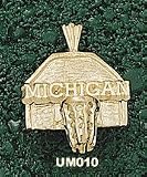Univ Of Michigan Backboard Charm/Pendant -14K/10K, Stainless Steel or Gold Plated