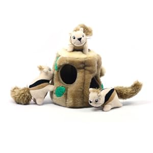 Kyjen PP01056 Hide-A-Squirrel Squeak Toy Dog Toys 4-Piece, Large, Brown