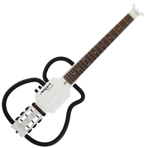 AS-100S (Steel Strings�j/����J���[�O���X�z���C�g�I