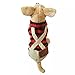 Dogloveit Cotton Plaid Shirt Style Overalls Jumpsuit Soft Autumn Dog Clothes For Cat Puppy Pet, Red, Medium