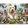Furry Friends - 550 - Small