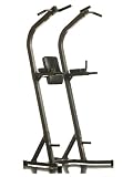 Body Max DLP695 Dip / Leg Raise / Pull-Up