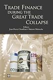 Trade finance during the great trade collapse