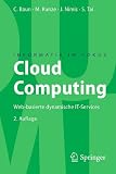 Cloud Computing: Web-basierte dynamische IT-Services