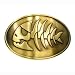 Pirate Fish Belt Buckle - Antique Gold Finish