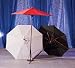 Shaded Elegance Umbrella White
