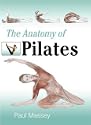 The Anatomy