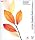 Adobe Creative Suite Standard 2.0 ���{��� Windows��