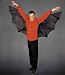 Adult Bat Costume Wings