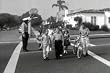 Vintage Pedestrian And Traffic Safety Films DVD: 1940s - 1950s Children's Traffic Safety, Walking, And School Crosswalk Education Movies