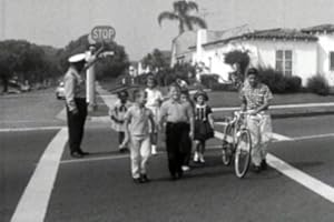 Vintage Pedestrian And Traffic Safety Films DVD: 1940s - 1950s Children's Traffic Safety, Walking, And School Crosswalk Education Movies