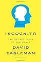 Incognito: The Secret Lives of the Brain