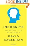 Incognito: The Secret Lives of the Brain