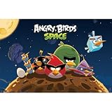 (22x34) Angry Birds Space Group Video Game Poster
