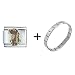 cocker_spaniel6cocker spaniel - English Cocker Spaniel Italian Charm Bracelet