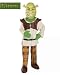 Child Large 12-14 -Costume DELUXE Shrek Costume - Official TM Costume