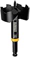 DEWALT DW1639 2-9/16-Inch Bit with 7/16-Inch Shank Selfeed Bit