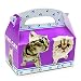Party Supplies - Empty THE CAT Favor Boxes (4)