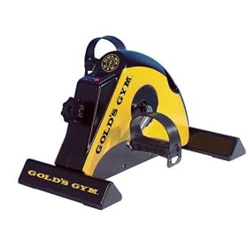 Golds Gym Mini Bike