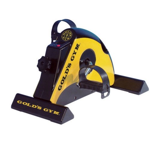 Golds Gym Mini Bike