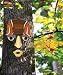 Cleveland Browns NFL Forest Face (14x7)