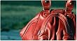 Namaste Red Zuma Cali Handbag Purse Tote Bag