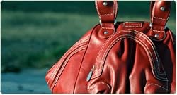 Namaste Red Zuma Cali Handbag Purse Tote Bag