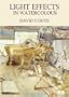 Light Effects in Watercolour DVD with David Curtis